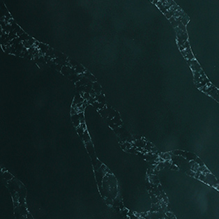 OLQ-2307卡拉墨綠